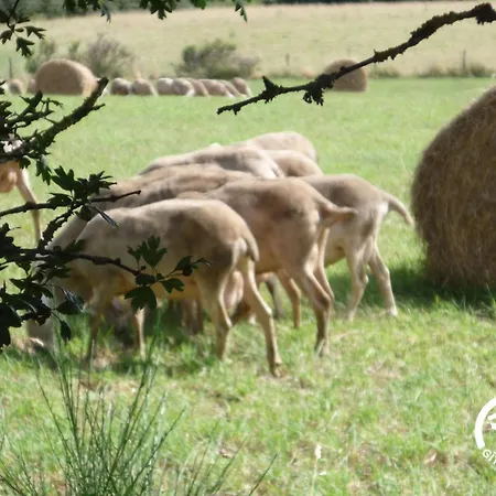 Entre Les Lacs 펜션 *