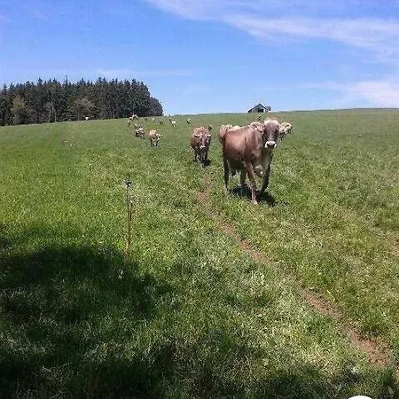 Entre Les Lacs Curan